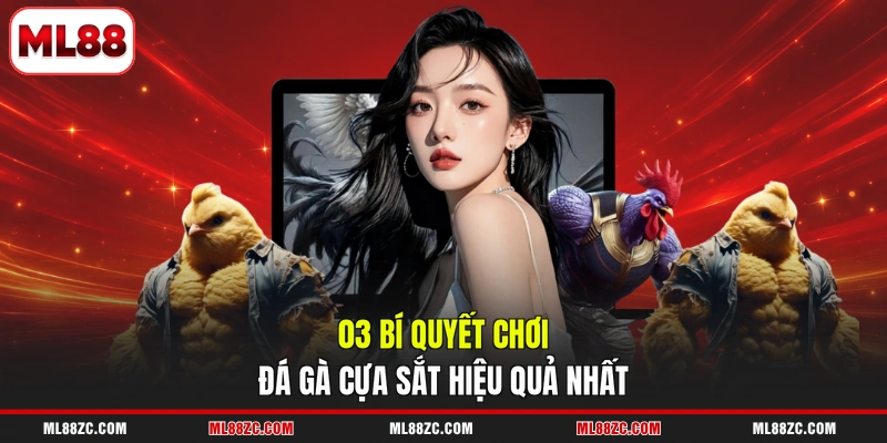 03 bí quyết chơi đá gà cựa sắt hiệu quả nhất