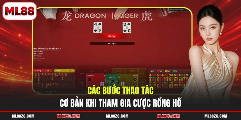 Các bước thao tác cơ bản khi tham gia cược Rồng Hổ