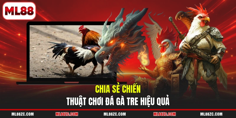 Chia sẻ chiến thuật chơi đá gà tre hiệu quả
