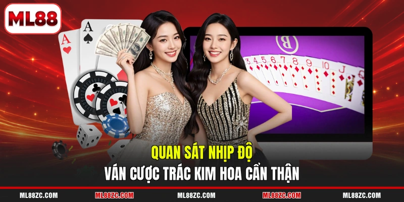 Quan sát nhịp độ ván cược Trác Kim Hoa cẩn thận