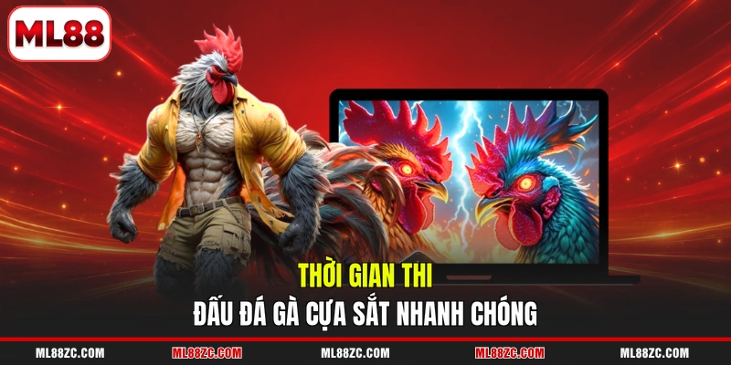 Thời gian thi đấu đá gà cựa sắt nhanh chóng