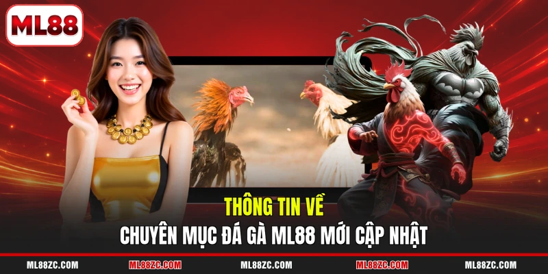 Thông tin về chuyên mục đá gà ML88 mới cập nhật