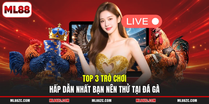 Top 3 trò chơi hấp dẫn nhất bạn nên thử tại đá gà 